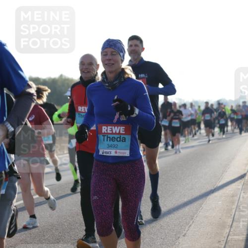 03.10.2025 - Köhlbrandbrückenlauf Jannik Wohlers http://msf.ph/oto/9070084 03.10.2025 09:17:22 Position 3 3261, 3492 meine-sportfotos.de