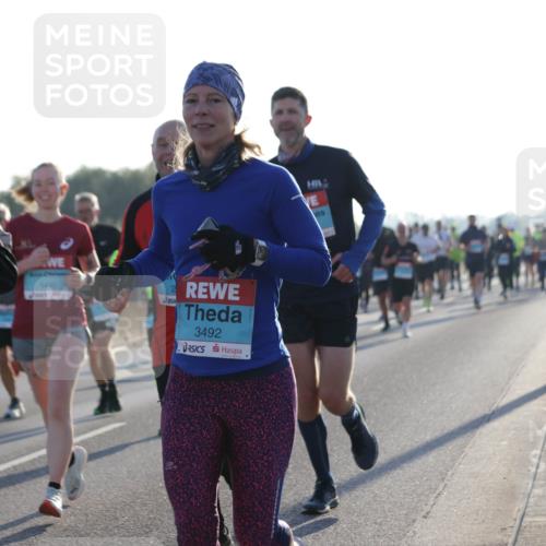 03.10.2025 - Köhlbrandbrückenlauf Jannik Wohlers http://msf.ph/oto/9070094 03.10.2025 09:17:23 Position 3 493, 1410, 3492 meine-sportfotos.de