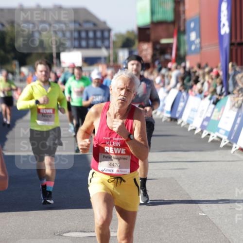 03.10.2025 - Köhlbrandbrückenlauf Jannik Wohlers http://msf.ph/oto/9070310 03.10.2025 13:14:25 Ziel 4400, 4426, 4437, 4569, 4776, 4888, 5132, 5282, 5782, 5805, 5902, 5903, 6012, 6327, 6418, 6512, 6735 meine-sportfotos.de