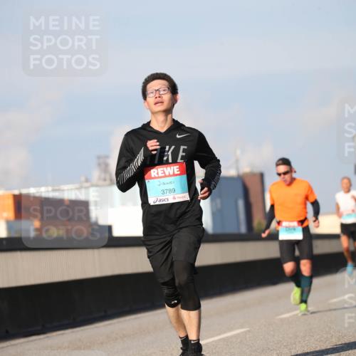 03.10.2025 - Köhlbrandbrückenlauf Jannik Wohlers http://msf.ph/oto/9076284 03.10.2025 09:42:50 Position 3 3789 meine-sportfotos.de