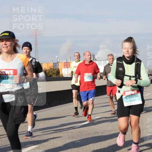 03.10.2025 - Köhlbrandbrückenlauf Jannik Wohlers http://msf.ph/oto/9080726 03.10.2025 10:02:03 Position 3 1810, 3172, 1650, 66, 1503 meine-sportfotos.de
