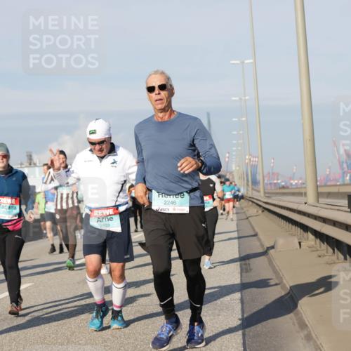 03.10.2025 - Köhlbrandbrückenlauf Jannik Wohlers http://msf.ph/oto/9089977 03.10.2025 09:58:49 Position 3 2079, 2929, 2246 meine-sportfotos.de