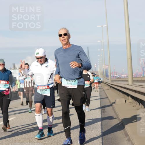 03.10.2025 - Köhlbrandbrückenlauf Jannik Wohlers http://msf.ph/oto/9089985 03.10.2025 09:58:49 Position 3 2079, 2929, 2246 meine-sportfotos.de