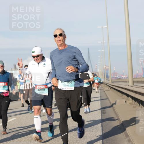 03.10.2025 - Köhlbrandbrückenlauf Jannik Wohlers http://msf.ph/oto/9089990 03.10.2025 09:58:49 Position 3 2079, 2929, 2246 meine-sportfotos.de