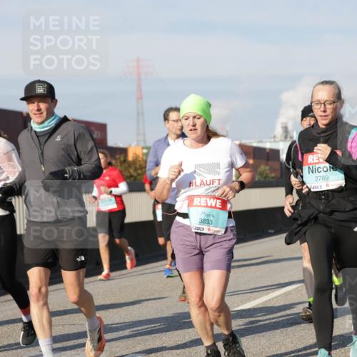 03.10.2025 - Köhlbrandbrückenlauf Jannik Wohlers http://msf.ph/oto/9094354 03.10.2025 10:01:04 Position 3 3833, 2789 meine-sportfotos.de