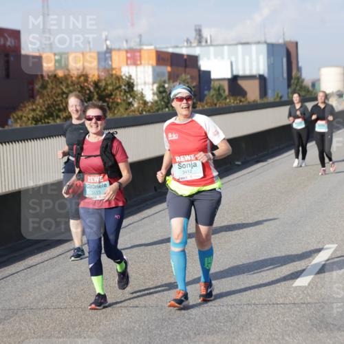03.10.2025 - Köhlbrandbrückenlauf Jannik Wohlers http://msf.ph/oto/9097022 03.10.2025 10:17:41 Position 3 17, 3413, 40, 3412 meine-sportfotos.de