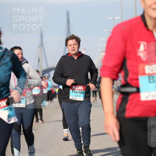 03.10.2025 - Köhlbrandbrückenlauf Jannik Wohlers http://msf.ph/oto/9097776 03.10.2025 10:16:24 Position 3 3437 meine-sportfotos.de