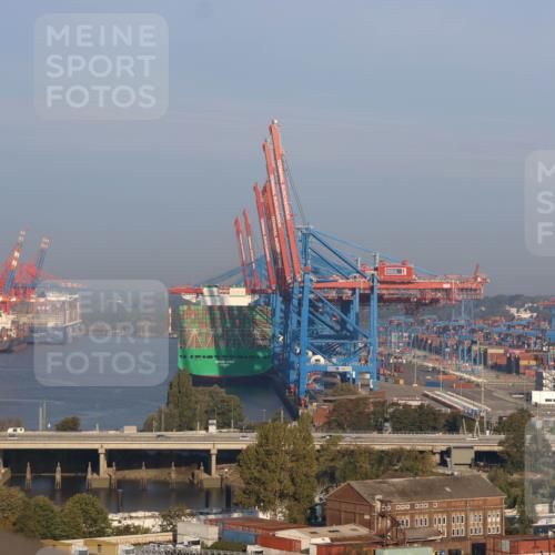 03.10.2025 - Köhlbrandbrückenlauf Strokosch-Dieckow http://msf.ph/oto/9099558 03.10.2025 09:07:53 Position 1 000, 000, 498 meine-sportfotos.de