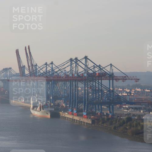 03.10.2025 - Köhlbrandbrückenlauf Strokosch-Dieckow http://msf.ph/oto/9099656 03.10.2025 09:09:22 Position 1  meine-sportfotos.de