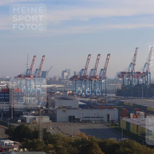 03.10.2025 - Köhlbrandbrückenlauf Strokosch-Dieckow http://msf.ph/oto/9099713 03.10.2025 09:10:25 Position 1  meine-sportfotos.de