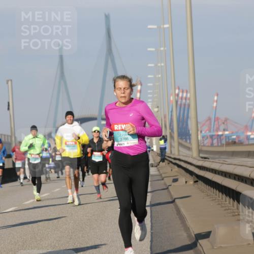 03.10.2025 - Köhlbrandbrückenlauf Jannik Wohlers http://msf.ph/oto/9101960 03.10.2025 09:49:17 Position 3 3766 meine-sportfotos.de