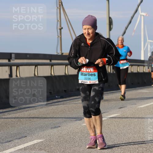 03.10.2025 - Köhlbrandbrückenlauf Strokosch-Dieckow http://msf.ph/oto/9103291 03.10.2025 10:12:20 Position 2 2236 meine-sportfotos.de