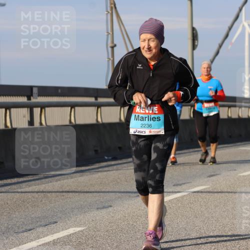 03.10.2025 - Köhlbrandbrückenlauf Strokosch-Dieckow http://msf.ph/oto/9103307 03.10.2025 10:12:20 Position 2 2236 meine-sportfotos.de