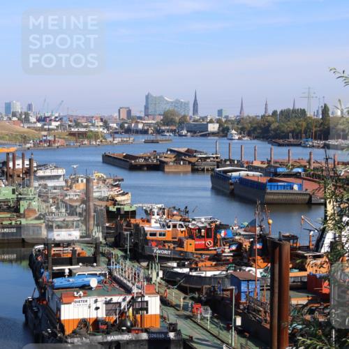 03.10.2025 - Köhlbrandbrückenlauf Strokosch-Dieckow http://msf.ph/oto/9103311 03.10.2025 11:47:14 Position 3 1638, 8, 863, 02326555, 5101290 meine-sportfotos.de