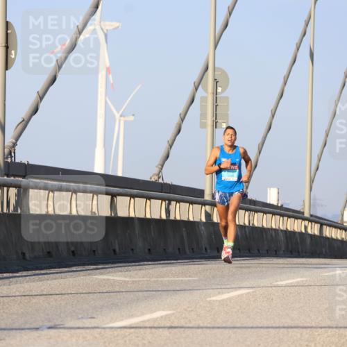 03.10.2025 - Köhlbrandbrückenlauf Strokosch-Dieckow http://msf.ph/oto/9103997 03.10.2025 09:27:27 Position 2  meine-sportfotos.de
