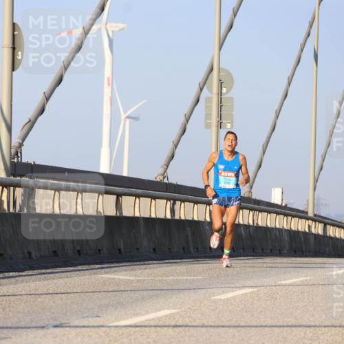 03.10.2025 - Köhlbrandbrückenlauf Strokosch-Dieckow http://msf.ph/oto/9104015 03.10.2025 09:27:27 Position 2  meine-sportfotos.de