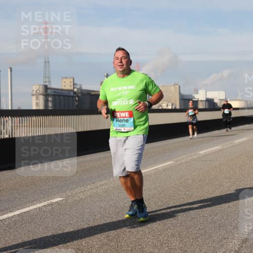 03.10.2025 - Köhlbrandbrückenlauf Lena Gebhardt http://msf.ph/oto/9104445 03.10.2025 10:12:35 Position 2 3588 meine-sportfotos.de