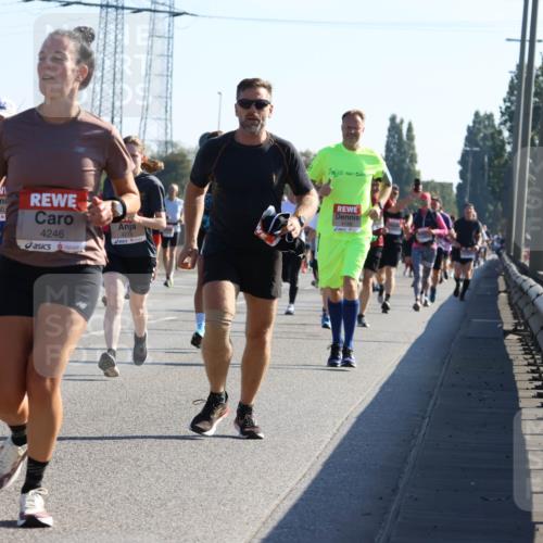 03.10.2025 - Köhlbrandbrückenlauf Strokosch-Dieckow http://msf.ph/oto/9105505 03.10.2025 12:15:41 Position 3 4380, 4246, 4278, 61, 4138 meine-sportfotos.de