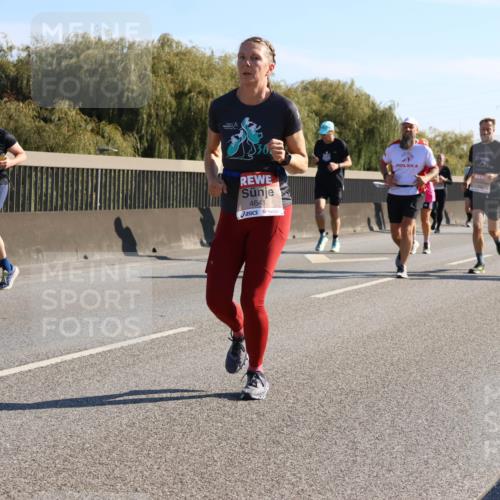03.10.2025 - Köhlbrandbrückenlauf Strokosch-Dieckow http://msf.ph/oto/9106242 03.10.2025 12:17:19 Position 3 4641 meine-sportfotos.de