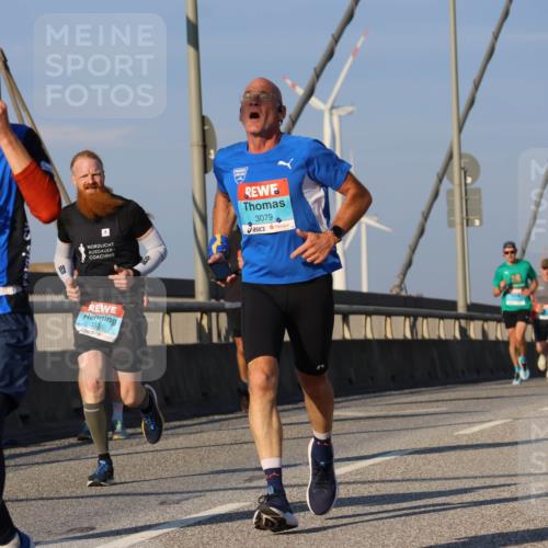 03.10.2025 - Köhlbrandbrückenlauf Strokosch-Dieckow http://msf.ph/oto/9107732 03.10.2025 09:37:34 Position 2 2955, 3335, 3079 meine-sportfotos.de