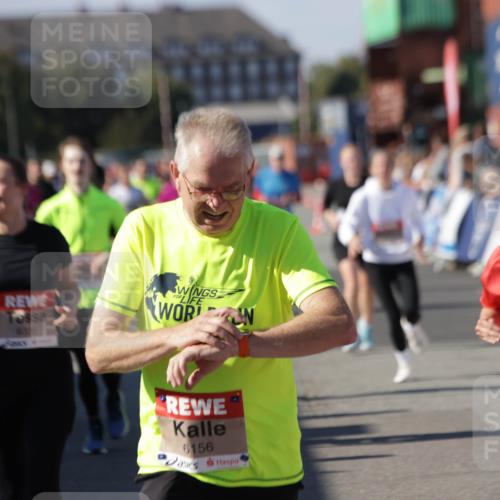 03.10.2025 - Köhlbrandbrückenlauf Jannik Wohlers http://msf.ph/oto/9108728 03.10.2025 13:29:29 Ziel 5340, 5366, 5470, 5514, 5601, 6156, 6334, 6335, 6336, 6351, 6387, 6539, 6543, 6554, 6555 meine-sportfotos.de