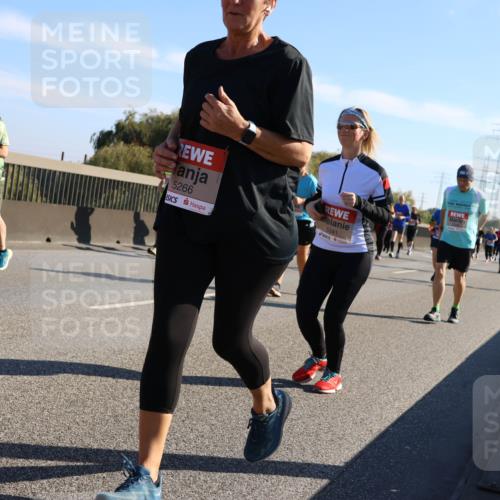 03.10.2025 - Köhlbrandbrückenlauf Strokosch-Dieckow http://msf.ph/oto/9108831 03.10.2025 12:22:53 Position 3 5344, 5266, 5341 meine-sportfotos.de