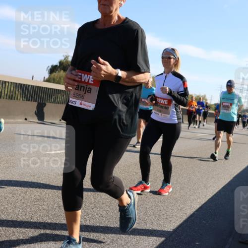 03.10.2025 - Köhlbrandbrückenlauf Strokosch-Dieckow http://msf.ph/oto/9108837 03.10.2025 12:22:53 Position 3 5344, 5266, 5341 meine-sportfotos.de