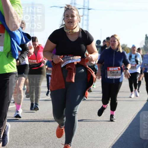 03.10.2025 - Köhlbrandbrückenlauf Strokosch-Dieckow http://msf.ph/oto/9109028 03.10.2025 12:23:23 Position 3 5116, 5844, 5318 meine-sportfotos.de