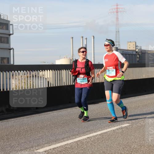 03.10.2025 - Köhlbrandbrückenlauf Lena Gebhardt http://msf.ph/oto/9109851 03.10.2025 10:14:49 Position 2 3413, 3412 meine-sportfotos.de