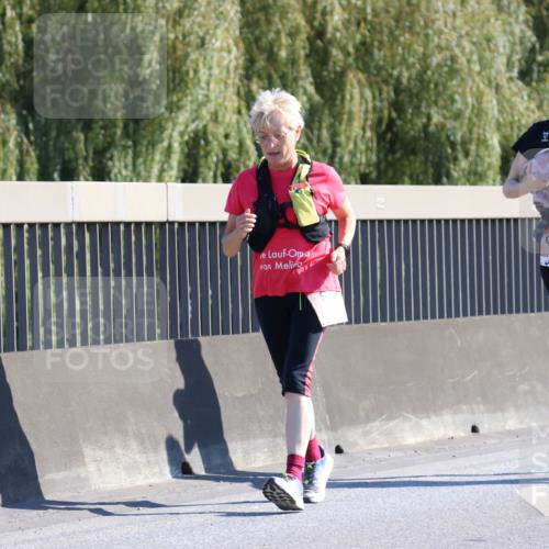 03.10.2025 - Köhlbrandbrückenlauf Strokosch-Dieckow http://msf.ph/oto/9109855 03.10.2025 12:25:55 Position 3 6096 meine-sportfotos.de