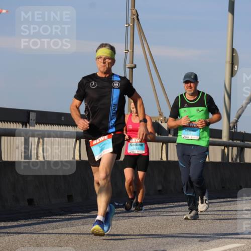 03.10.2025 - Köhlbrandbrückenlauf Strokosch-Dieckow http://msf.ph/oto/9109861 03.10.2025 09:41:15 Position 2 3832, 3251, 3731 meine-sportfotos.de