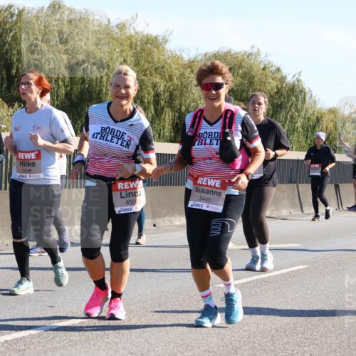 03.10.2025 - Köhlbrandbrückenlauf Strokosch-Dieckow http://msf.ph/oto/9109933 03.10.2025 12:26:12 Position 3 361, 5228, 6550, 5445 meine-sportfotos.de