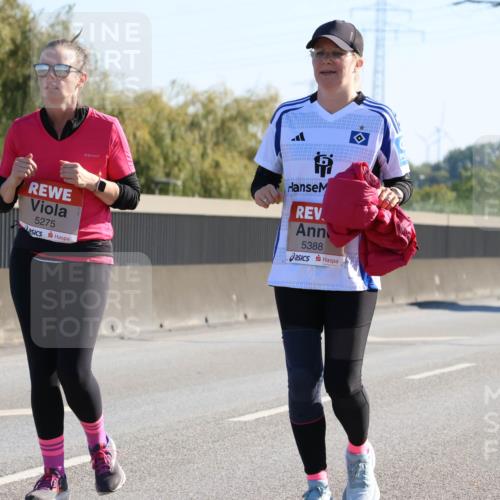 03.10.2025 - Köhlbrandbrückenlauf Strokosch-Dieckow http://msf.ph/oto/9110445 03.10.2025 12:29:09 Position 3 5275, 5388 meine-sportfotos.de