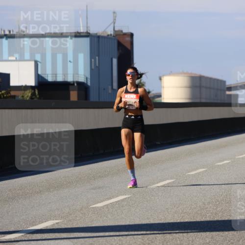 03.10.2025 - Köhlbrandbrückenlauf Strokosch-Dieckow http://msf.ph/oto/9110743 03.10.2025 12:35:57 Position 3  meine-sportfotos.de
