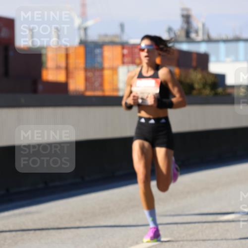 03.10.2025 - Köhlbrandbrückenlauf Strokosch-Dieckow http://msf.ph/oto/9110771 03.10.2025 12:36:00 Position 3  meine-sportfotos.de