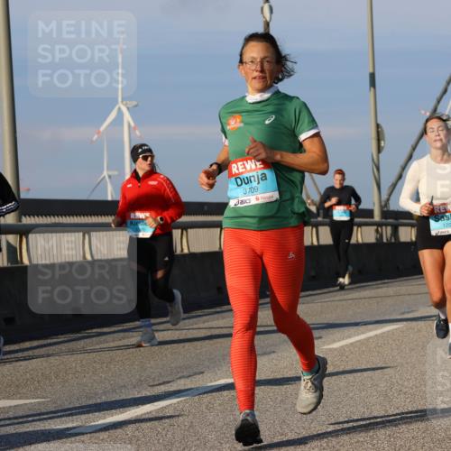 03.10.2025 - Köhlbrandbrückenlauf Strokosch-Dieckow http://msf.ph/oto/9112267 03.10.2025 09:45:35 Position 2 3734, 3709, 50, 1203 meine-sportfotos.de