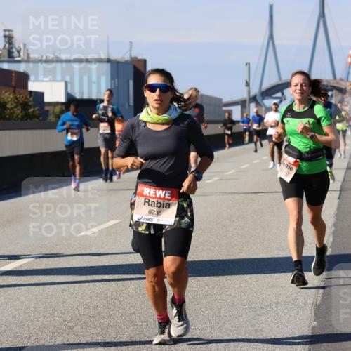 03.10.2025 - Köhlbrandbrückenlauf Strokosch-Dieckow http://msf.ph/oto/9115025 03.10.2025 12:47:19 Position 3 4292, 6236 meine-sportfotos.de
