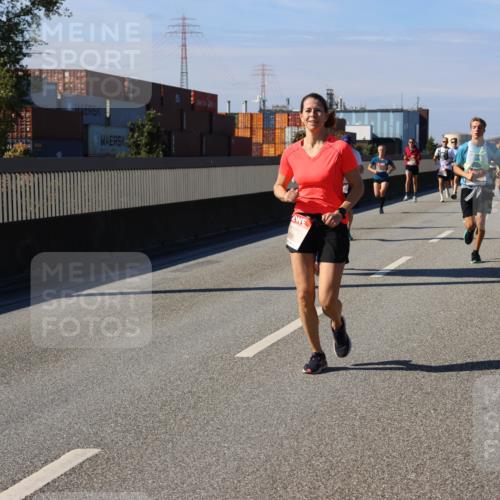 03.10.2025 - Köhlbrandbrückenlauf Strokosch-Dieckow http://msf.ph/oto/9117822 03.10.2025 12:53:35 Position 3 2 meine-sportfotos.de