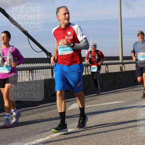 03.10.2025 - Köhlbrandbrückenlauf Strokosch-Dieckow http://msf.ph/oto/9121611 03.10.2025 09:57:19 Position 2 2637, 3088, 1993 meine-sportfotos.de