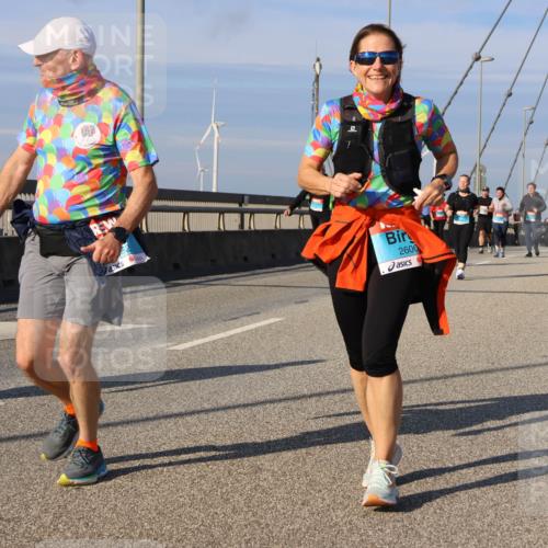 03.10.2025 - Köhlbrandbrückenlauf Strokosch-Dieckow http://msf.ph/oto/9124177 03.10.2025 10:04:10 Position 2 2600 meine-sportfotos.de