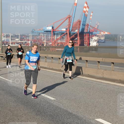 03.10.2025 - Köhlbrandbrückenlauf Yannick Fuchs http://msf.ph/oto/9133625 03.10.2025 09:06:25 Position 2  meine-sportfotos.de