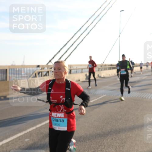 03.10.2025 - Köhlbrandbrückenlauf Yannick Fuchs http://msf.ph/oto/9139816 03.10.2025 08:24:26 Position 2 3630 meine-sportfotos.de