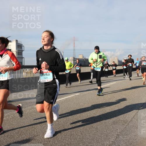 03.10.2025 - Köhlbrandbrückenlauf Lena Gebhardt http://msf.ph/oto/9139959 03.10.2025 09:57:45 Position 2 1446, 1529 meine-sportfotos.de