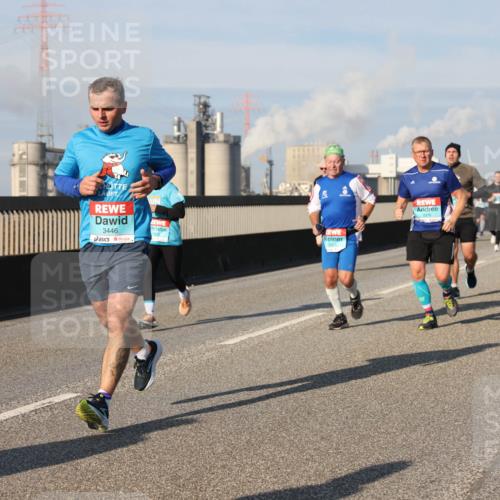 03.10.2025 - Köhlbrandbrückenlauf Lena Gebhardt http://msf.ph/oto/9141054 03.10.2025 09:58:51 Position 2 3446 meine-sportfotos.de