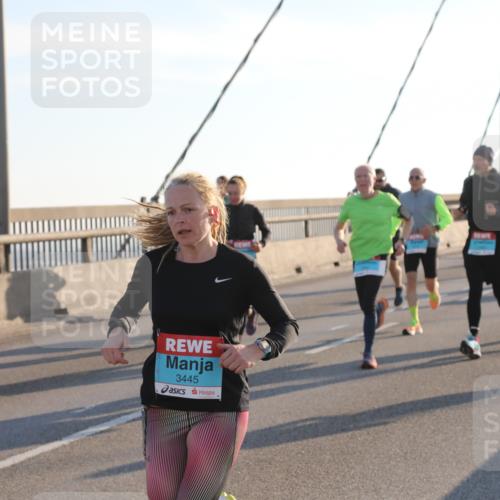03.10.2025 - Köhlbrandbrückenlauf Yannick Fuchs http://msf.ph/oto/9143733 03.10.2025 08:31:12 Position 2 3445 meine-sportfotos.de