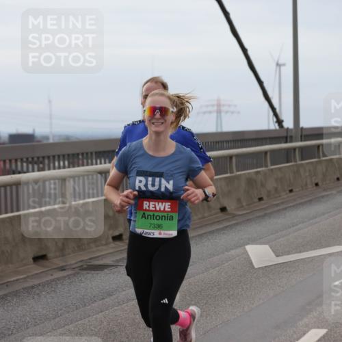 03.10.2025 - Köhlbrandbrückenlauf Jannik Wohlers http://msf.ph/oto/9143845 03.10.2025 15:45:11 Position 1 2024, 7336 meine-sportfotos.de