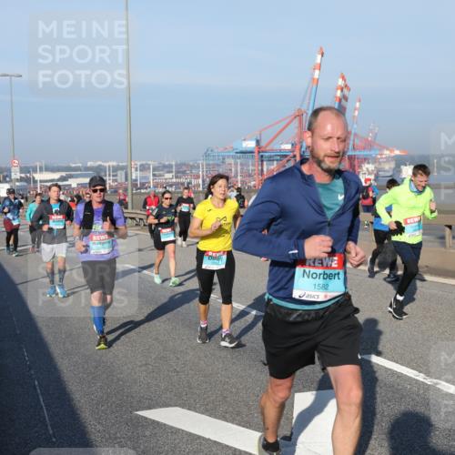 03.10.2025 - Köhlbrandbrückenlauf Yannick Fuchs http://msf.ph/oto/9149723 03.10.2025 08:41:25 Position 2 1415, 3333, 1582, 2767 meine-sportfotos.de