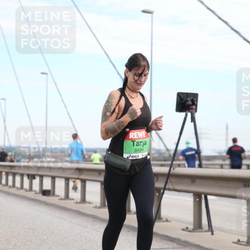 03.10.2025 - Köhlbrandbrückenlauf Jannik Wohlers http://msf.ph/oto/9157794 03.10.2025 15:41:06 Position 1 8494 meine-sportfotos.de