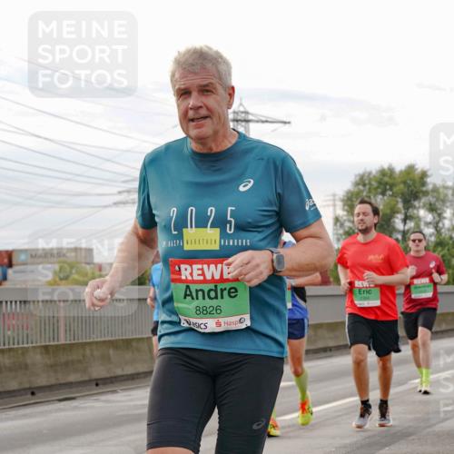 03.10.2025 - Köhlbrandbrückenlauf Michael Burmester http://msf.ph/oto/9160769 03.10.2025 15:55:25 Position 3 2025, 8826, 7304, 7543 meine-sportfotos.de