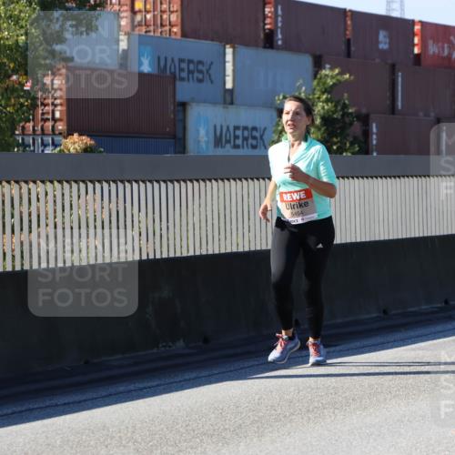 03.10.2025 - Köhlbrandbrückenlauf Strokosch-Dieckow http://msf.ph/oto/9163323 03.10.2025 13:01:48 Position 3 5454 meine-sportfotos.de